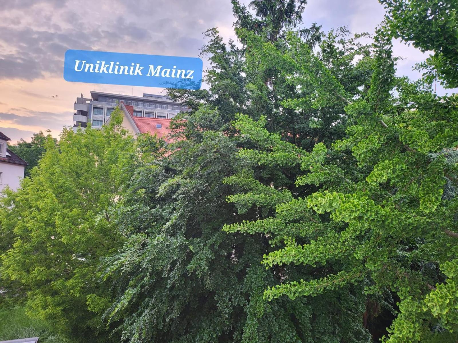 Gemuetliches Privatzimmer An Der Uniklinik Mainz. Sehr Zentral Esterno foto
